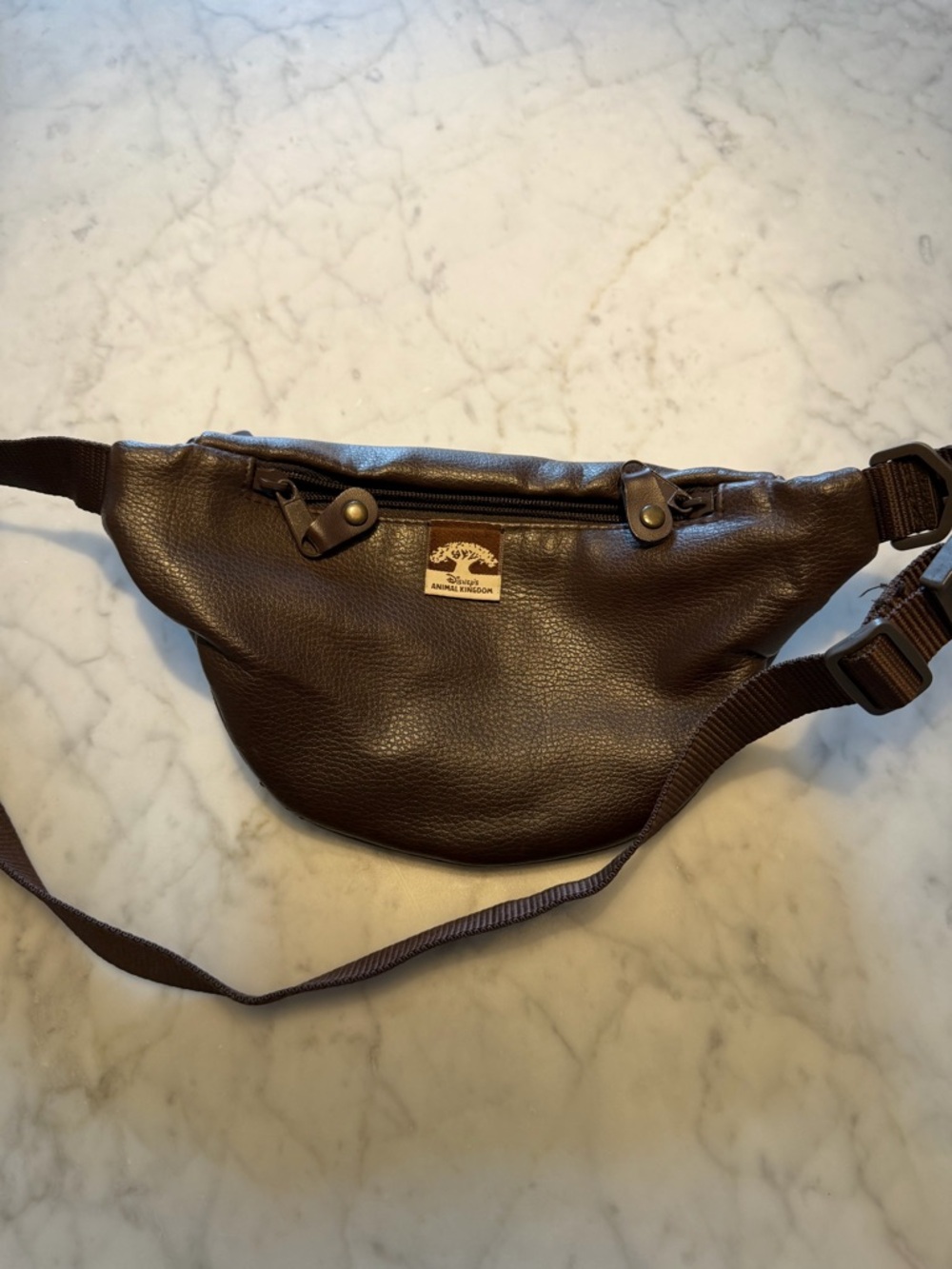 Vintage Disney Animal Kingdom Waist Bag / Fanny with Embroidered Motif - Picture 3 of 9